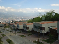 Arandano de la calleja